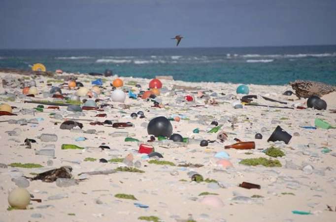 Déchets plastiques: le hasard fait parfois bien les choses