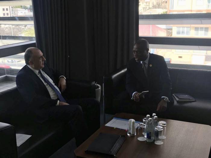 Azerbaijani FM meets Gabonese counterpart