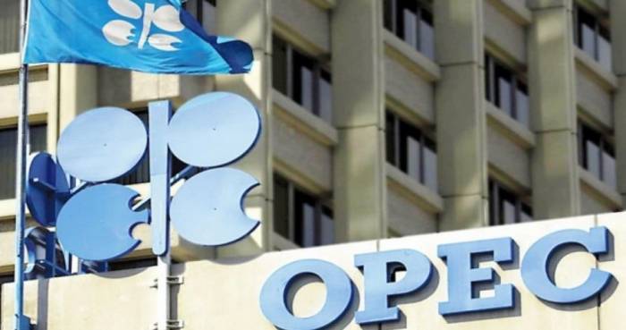 OPEC Azərbaycanla əməkdaşlığı genişləndirmək istəyir