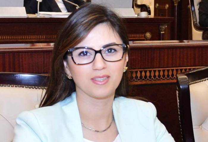 Azerbaijani MP in PACE: Time to give assessment to actions of Armenian authorities