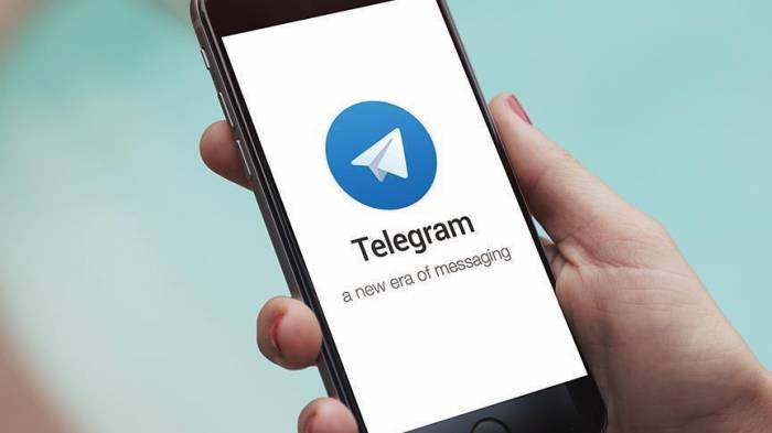 At least 30 million users in Iran bypassing Telegram’s filtering – official