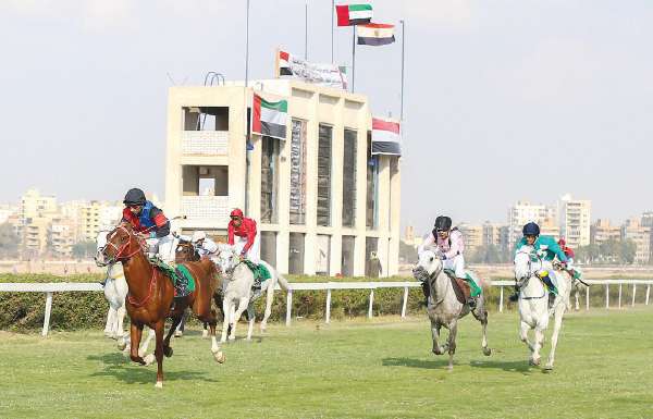 القاهرة تدشن سباقات احتفالية «اليوبيل الفضي» اليوم
