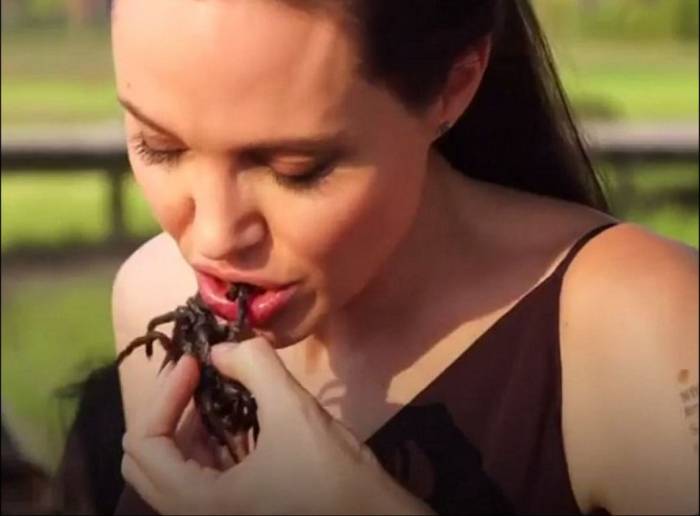 لماذا تأكل أنجلينا جولي العناكب في كمبوديا؟
