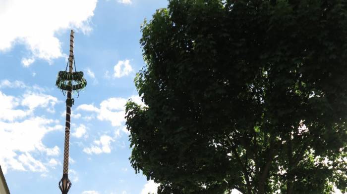 29-Jährige von Maibaum erschlagen