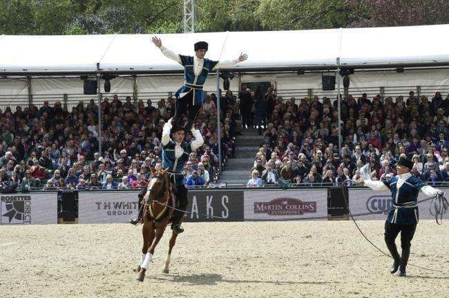 Los caballos de Karabaj llevados al Reino Unido para asistir al Royal Horse Show