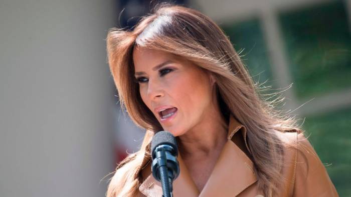 Neue Plagiatsvorwürfe gegen Melania Trump