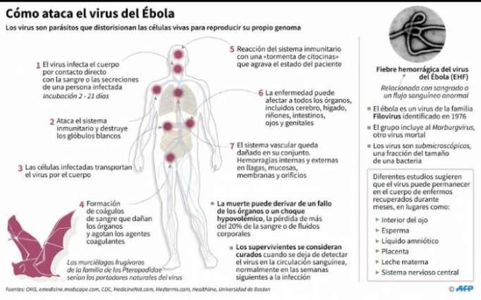 La OMS se prepara para lo "peor" tras los nuevos casos de ébola en RDC