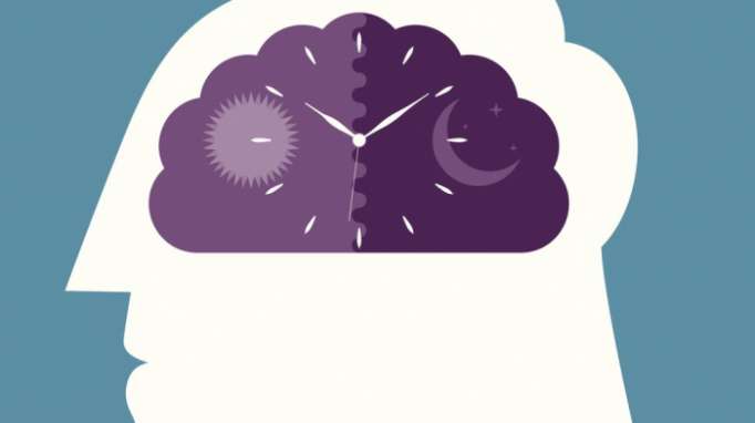 Body clock linked to mood disorders