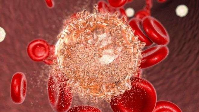 سرطان الدم قد ينتج عن غياب بعض الميكروبات النافعة