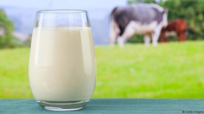 Milk producers in Azerbaijan should work hard to develop their industry
