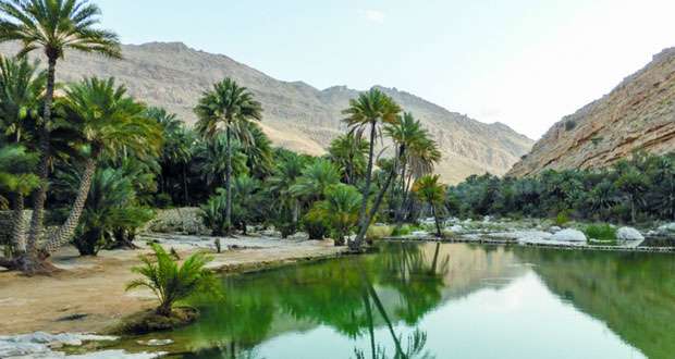 “وادي بني خالد” وجهة سياحية نشطة على مدار العام