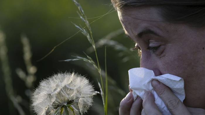 La période critique a commencé pour les allergiques aux graminées