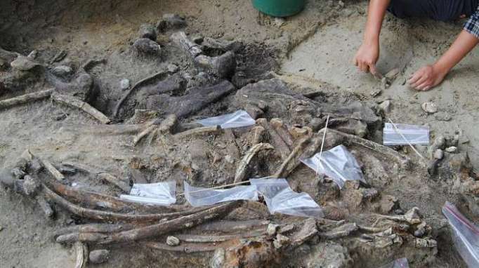 Humans may have lived in Philippines eons ago