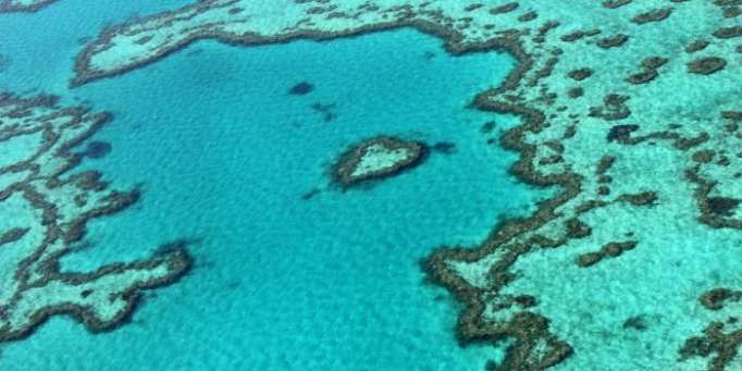 Sixième vie de la Grande Barrière de corail en 30.000 ans