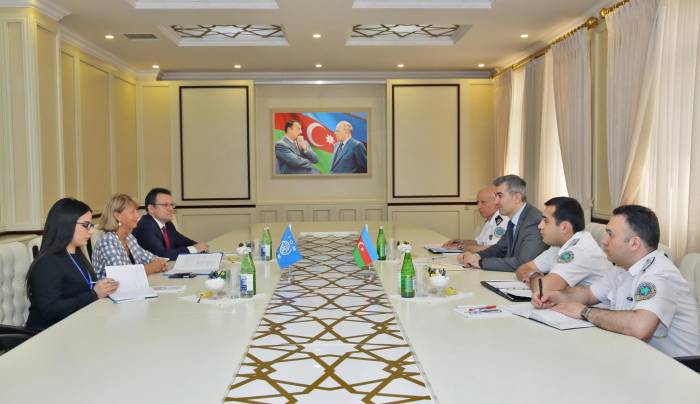 Head of State Migration Service meets with regional director of IOM