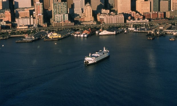 Traces of opioids found in mussels in Seattle bay