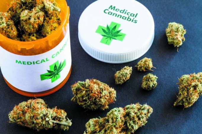 Le cannabis médical "pourrait" arriver en France