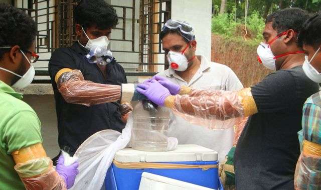 Inde: cinq morts du virus Nipah