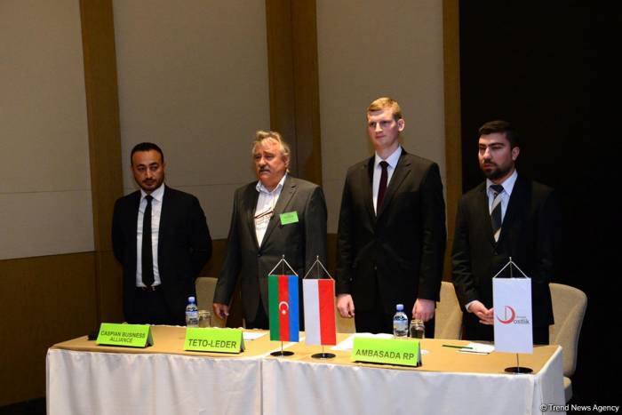 Azerbaijan, Poland have great potential to develop economic ties