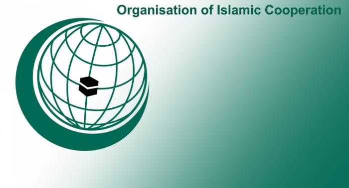 منظمة التعاون الإسلامي تدعم جهود أوزبكستان الرامية لضمان التسوية السلمية في أفغانستان