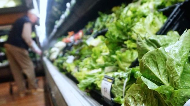 Five people die in US romaine lettuce E. coli outbreak