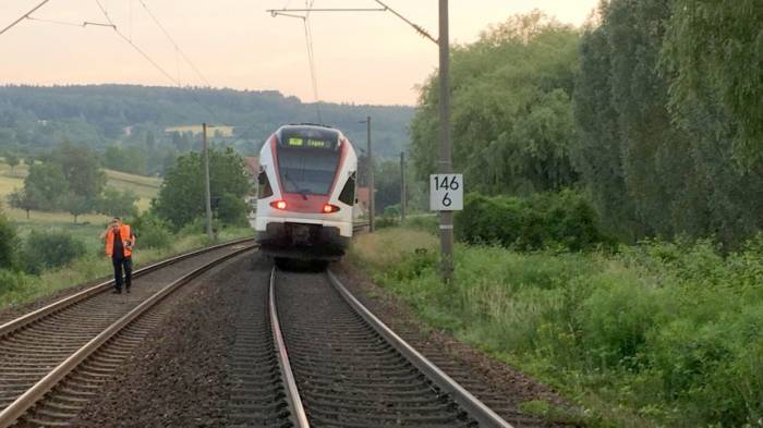 Regionalbahn rast in Schafherde