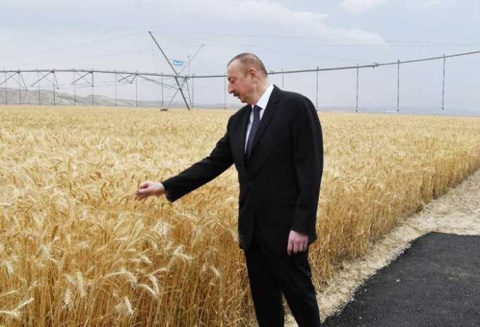 Für 45 Agro-Parks in Aserbaidschan werden 1,4 Milliarden Manat investiert
