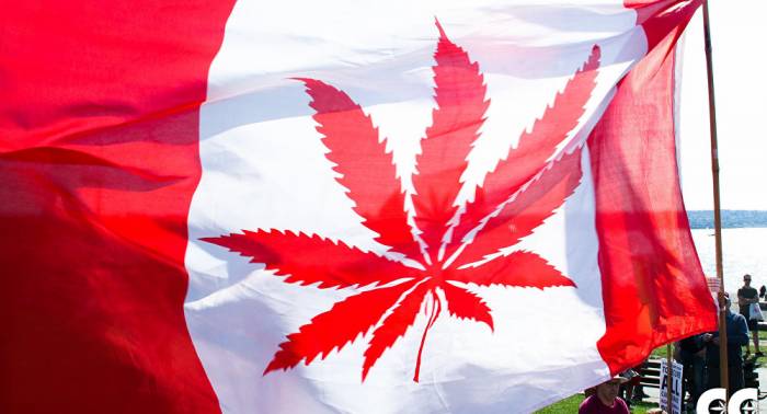 Senado de Canadá aprueba legalización de marihuana