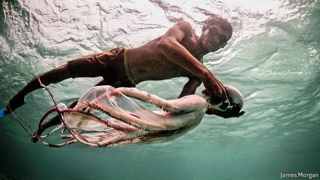 DNA analysis has revealed the Bajau people have evolved to survive longer underwater