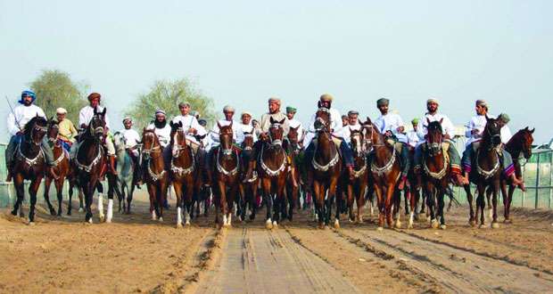 نادي الأصايل بجعلان بني بوعلي ينظم مهرجانا رياضيا لفنون الخيل