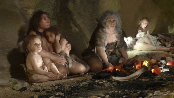 California scientists successfully grow Neanderthal mini-brains