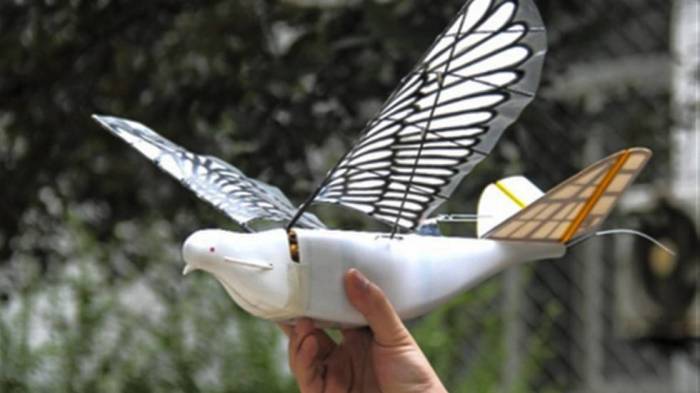 La Chine utilise des faux pigeons pour espionner ses habitants