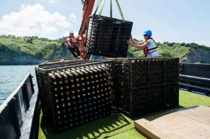 Faire du vin sous la mer, la niche qui monte en Espagne