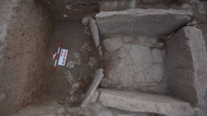 Human sacrifices surround ancient Mesopotamian tomb