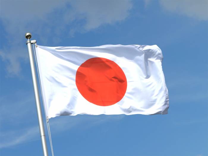 Remaniement au Japon: nouveaux ministres de la Défense et des Affaires étrangères