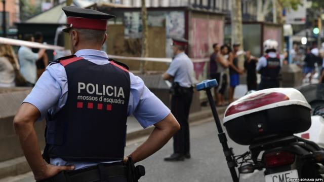 Spanish police launch large-scale operation against Armenian mafia, over 100 suspects