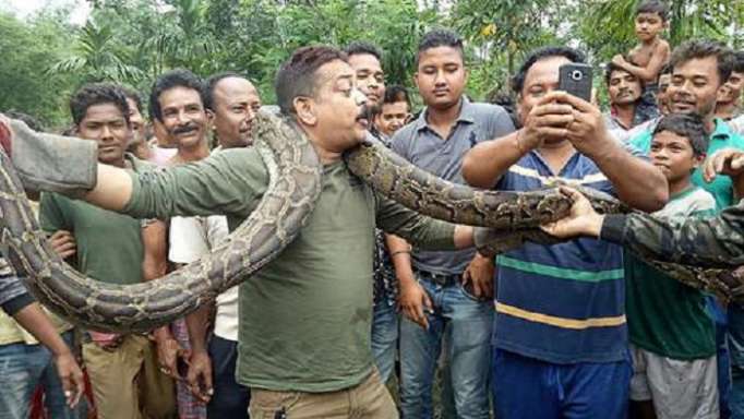 Il pose avec un python et échappe de justesse à la mort