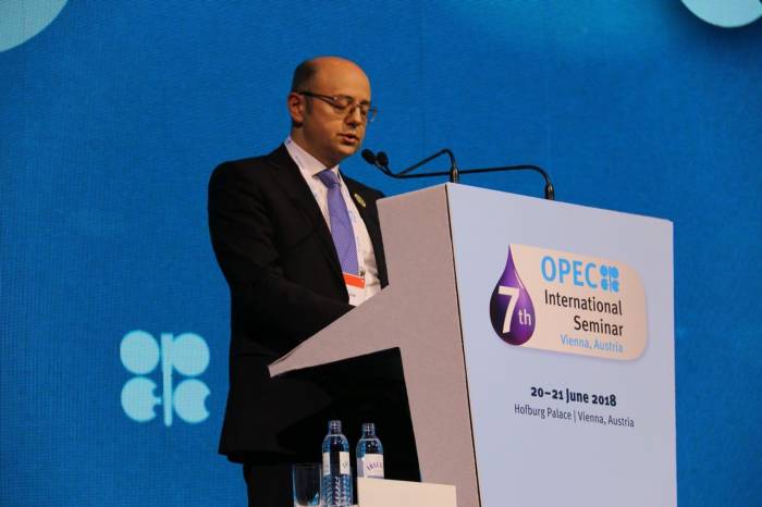 Difficulties in meeting global oil demand may arise in future - Azerbaijani minister