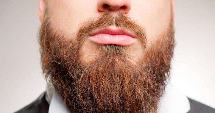 La barbe d’un homme est plus sale que la cuvette des toilettes, voici pourquoi