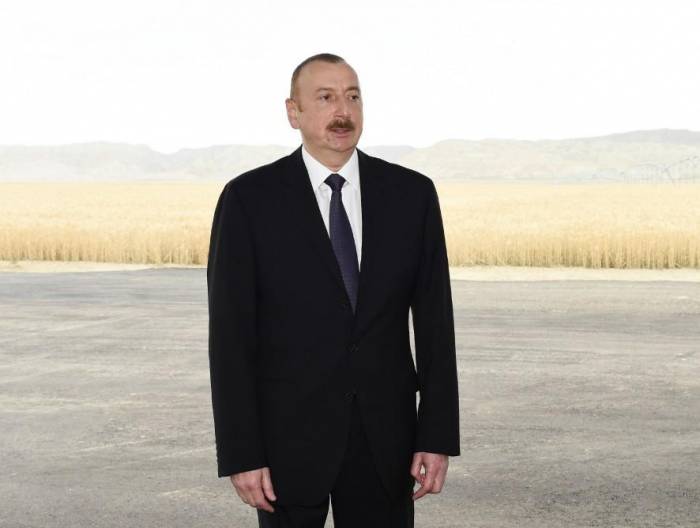 President Aliyev: Azerbaijan to even more reduce dependence on import