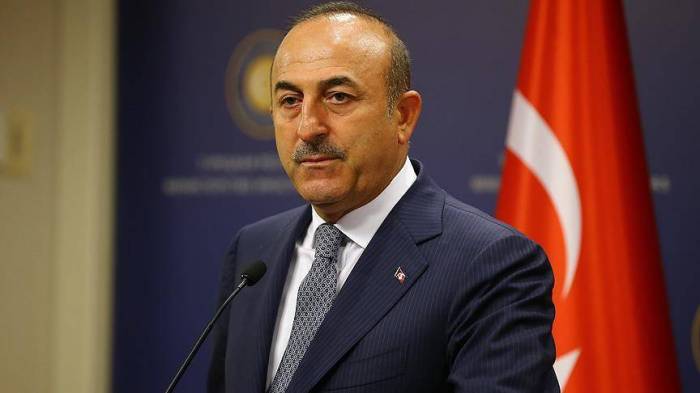 Türkiyə müttəfiqinin düşmənini müdafiə etdi 