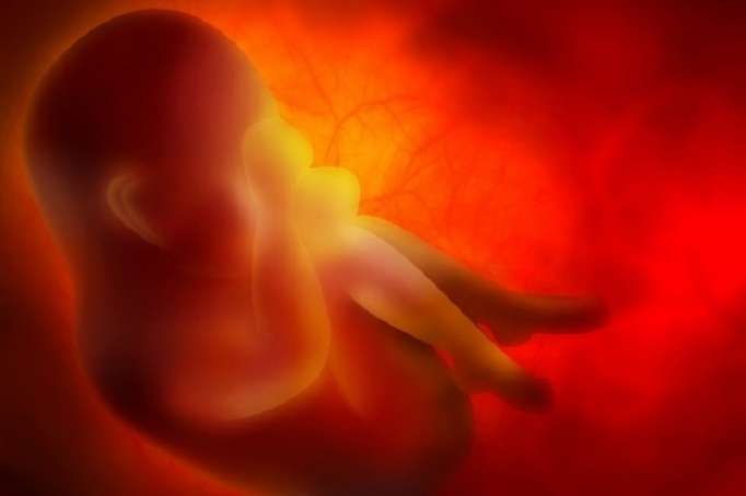 Schizophrénie: le rôle du placenta dans son développement