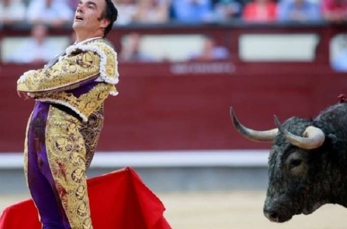 Espagne: Un matador grièvement blessé par un taureau