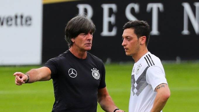 Löws Berater kritisiert Mesut Özil