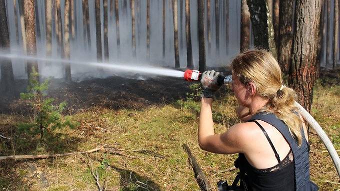 Waldbrand blockiert zwei Autobahnen