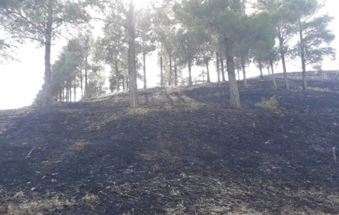 Ministry declares wildfire in Guba extinguished