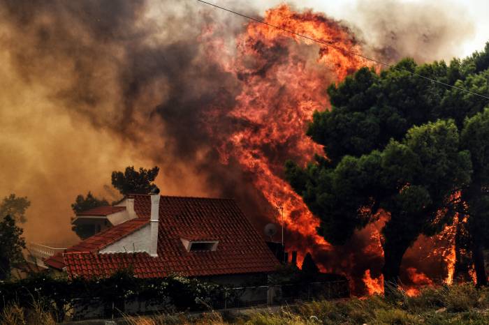 Behind Greece’s Deadly Fires - OPINION