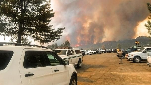 Waldbrände in USA zerstören 500 Häuser