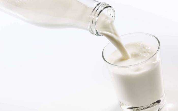 Lait animal, lait végétal : quelles différences ?