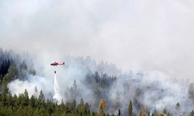 Sweden calls for help as Arctic Circle hit by wildfires